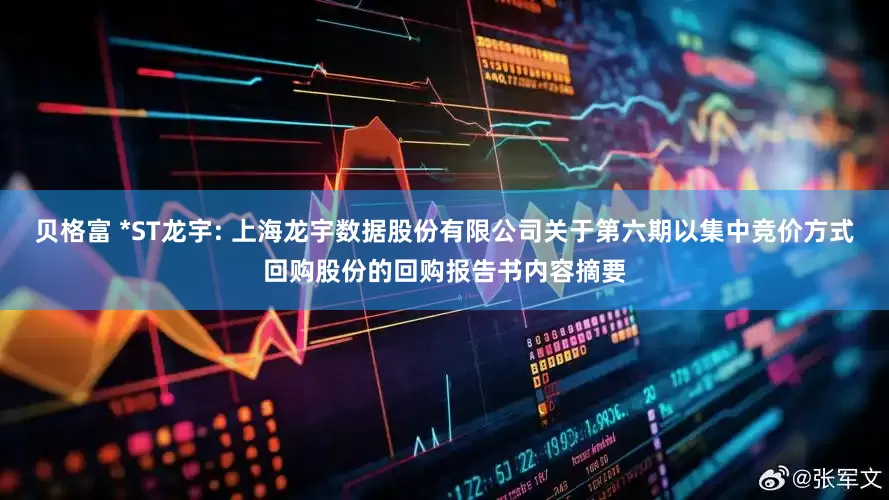 贝格富 *ST龙宇: 上海龙宇数据股份有限公司关于第六期以集中竞价方式回购股份的回购报告书内容摘要